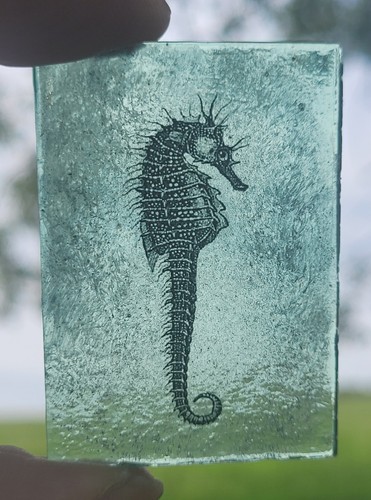 Stained glass seahorse painted - stained,