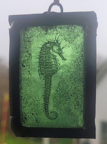 Stained glass seahorse - seahorse, painted